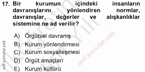 Soru 17