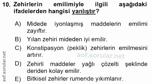Soru 10
