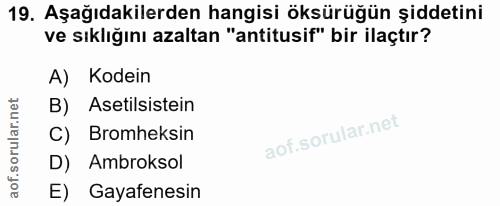 Soru 19