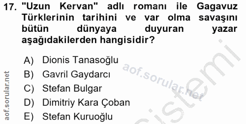 Soru 17