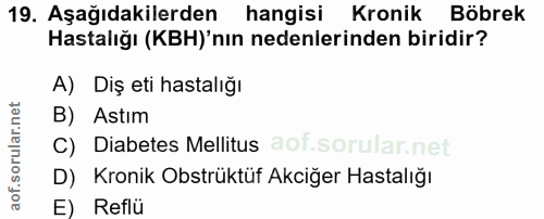 Soru 19