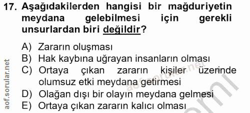 Soru 17