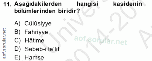 Soru 11