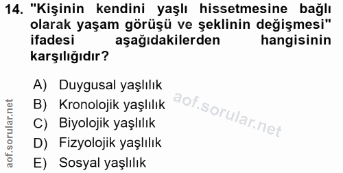 Soru 14