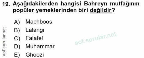 Soru 19