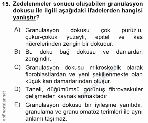 Soru 15