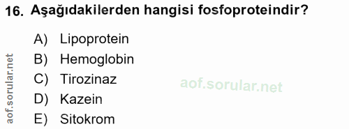 Soru 16