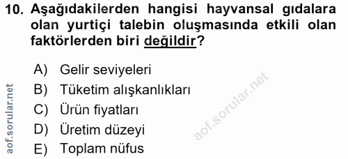 Soru 10