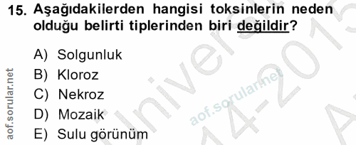 Soru 15