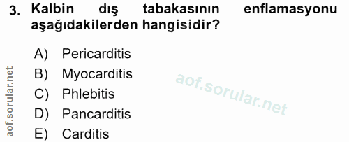 Soru 3
