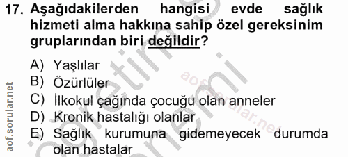 Soru 17