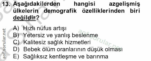 Soru 13