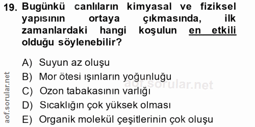 Soru 19