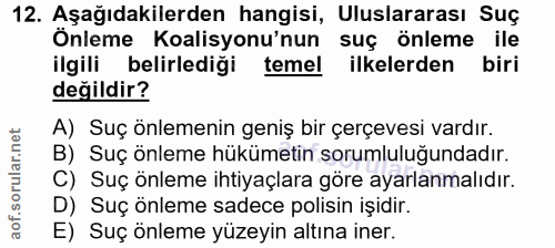 Soru 12