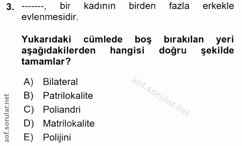 Soru 3