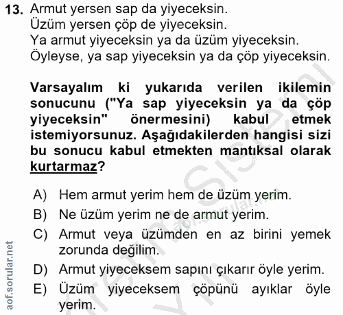 Soru 13