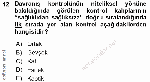 Soru 12