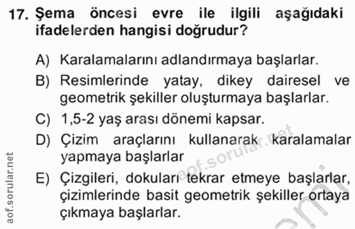 Soru 17