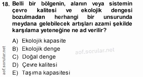 Soru 18