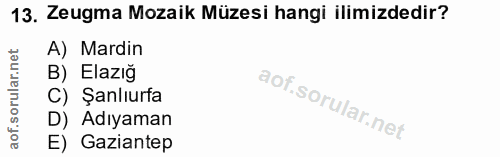 Soru 13