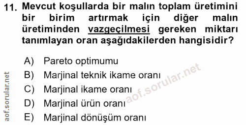 Soru 11