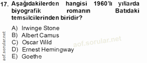 Soru 17