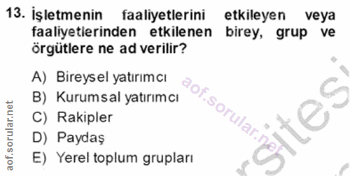 Soru 13