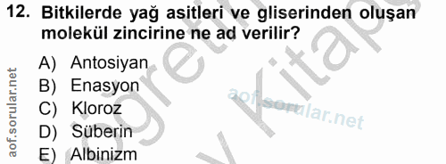 Soru 12