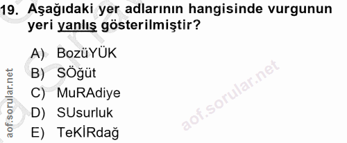 Soru 19
