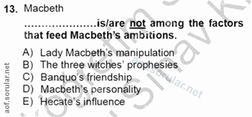 Soru 13