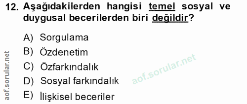 Soru 12