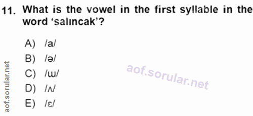Soru 11