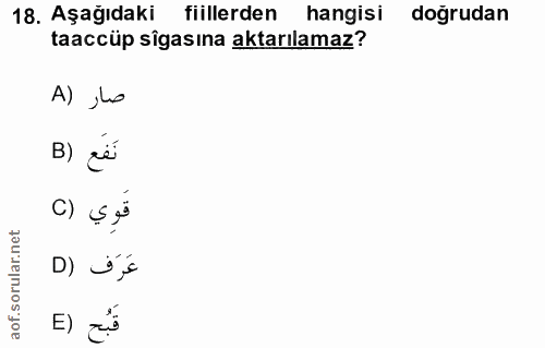 Soru 18