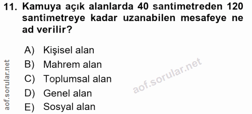 Soru 11