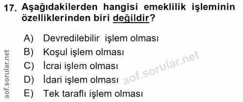 Soru 17