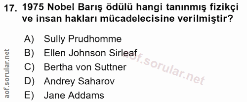 Soru 17