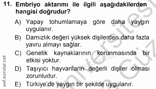 Soru 11