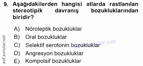 Soru 9