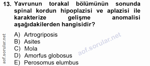 Soru 13
