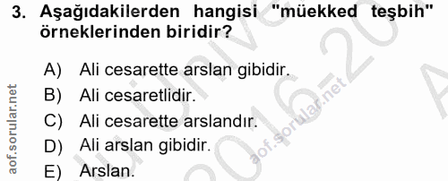 Soru 3