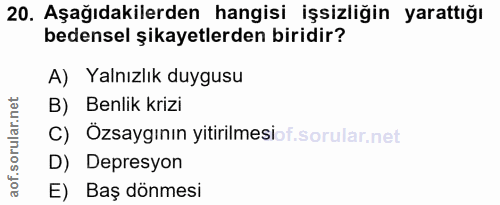 Soru 20