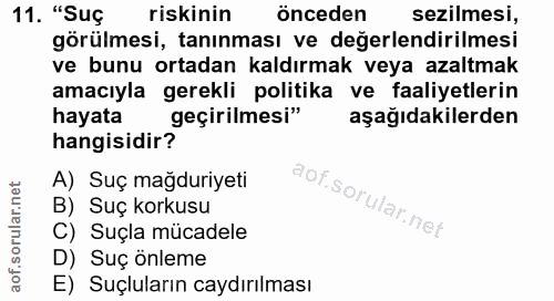 Soru 11