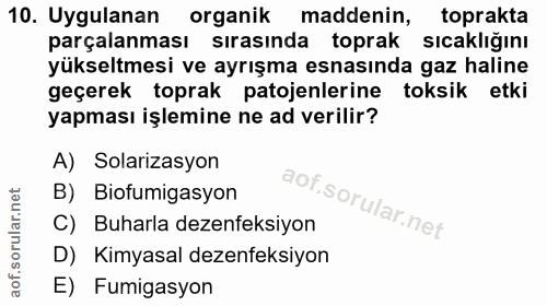 Soru 10