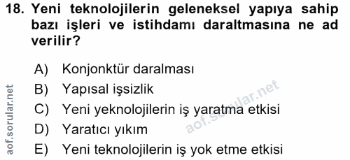 Soru 18
