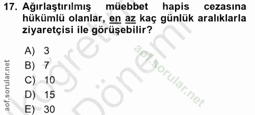Soru 17