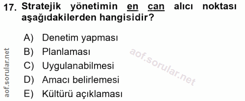 Soru 17