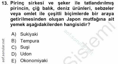 Soru 13