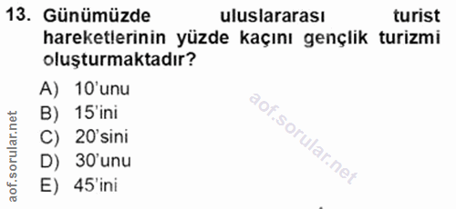 Soru 13