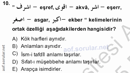 Soru 10