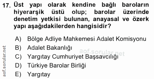 Soru 17